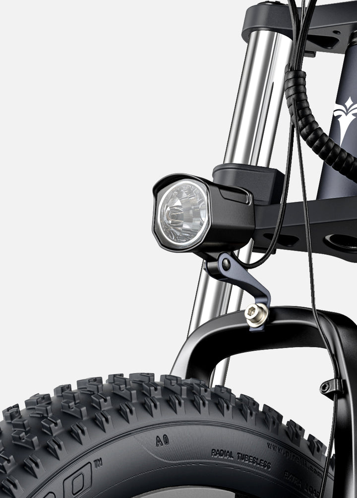 Engwe X26 Electric Fat Bike