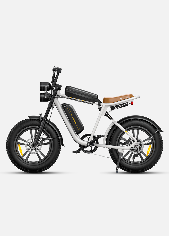 Engwe M20 Bicicleta Fat Eléctrica